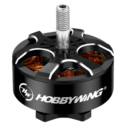 Hobbywing XRotor 3110 Motor